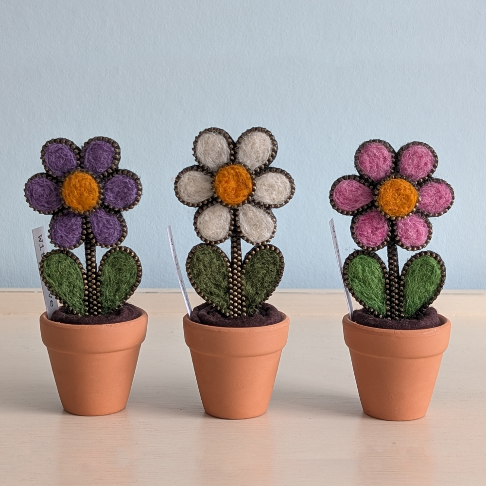 daisy flower pots